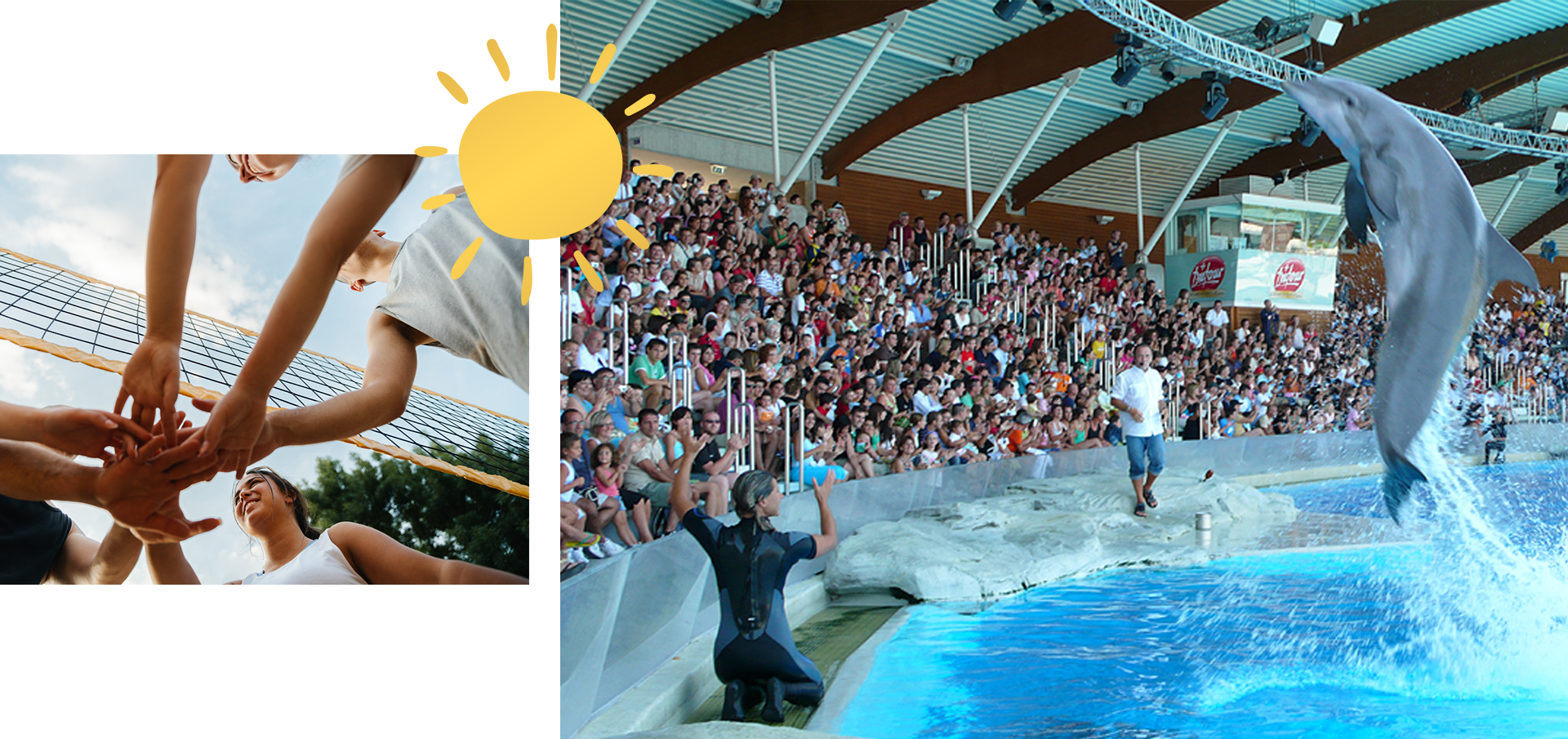 delfino che salta fuori dall'acqua nel parco acquatico Aquafan